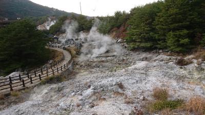 遊歩道が整備されていて観光しやすい