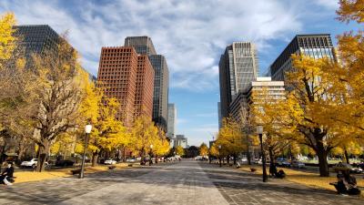 皇居側より東京駅を臨む