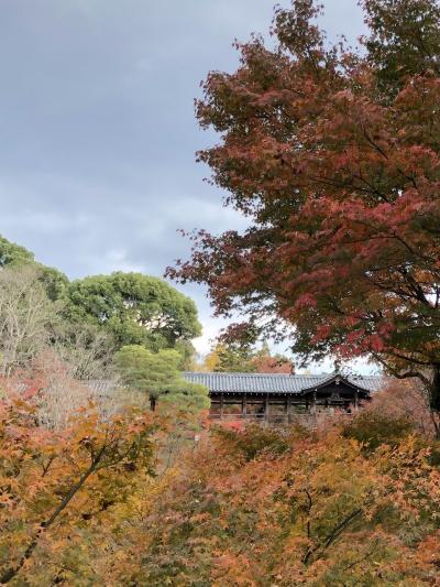 紅葉見物，出遅れました