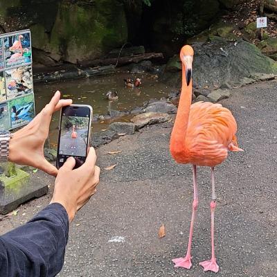 思っていたより広い！園芸好きにも。