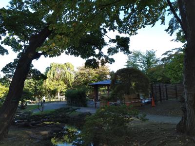 自然豊かな公園