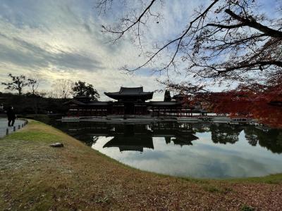 水面にうつる姿が素敵