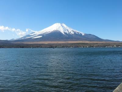 山中湖から富士山が見えた。