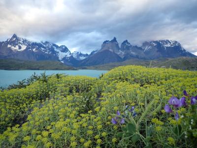 ホテル裏手の庭園