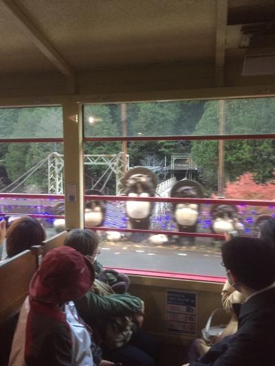 紅葉時期はたのしい