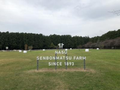 美味しい乳製品が買えます。