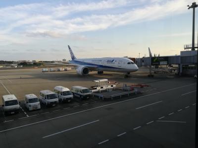 成田空港のターミナルは第一ターミナル