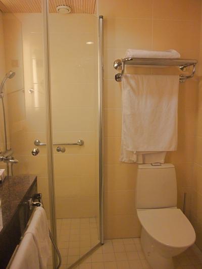 浴槽がなくシャワーだけです。清掃は清潔感あり。