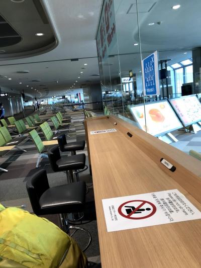 千歳空港の佐藤水産「海鮮丼」