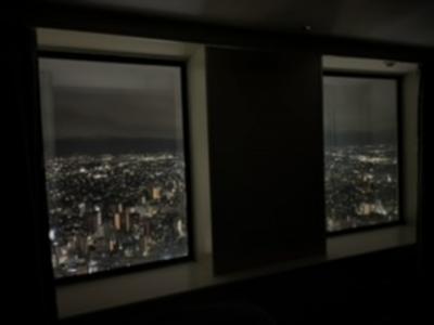 スイートでなくても良い部屋でした