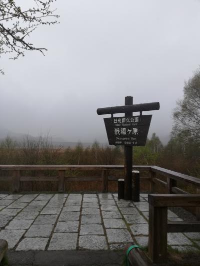 奥日光に広がる日本有数の湿原