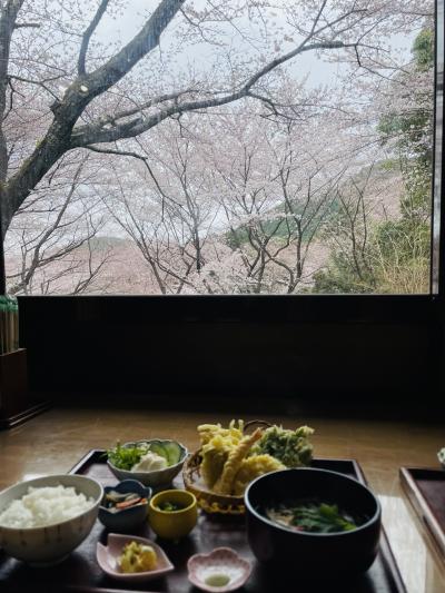 桜が見えるお食事処♪