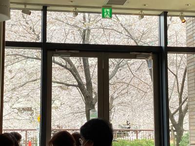 中目黒川の桜を眺めながらランチのできるフレンチレストラン