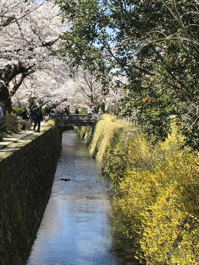 京都随一の散歩道