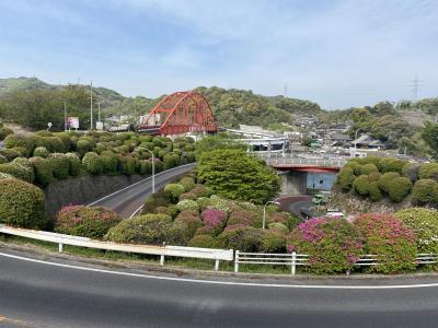 これからツツジがきれいです