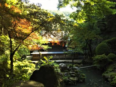 静かで美しい庭園です