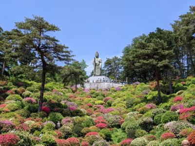 つつじ祭り