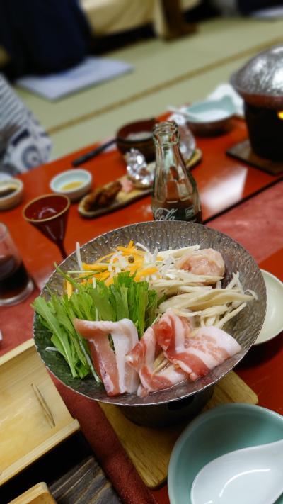 質の良い温泉と野生の鹿に会える自然豊かな宿