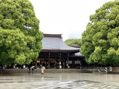 雨の中、静かな明治神宮