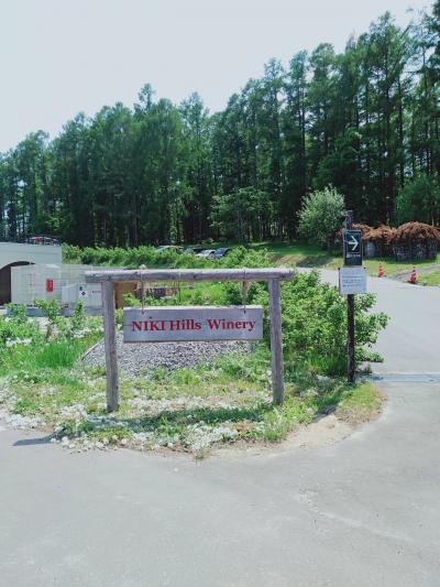 ブドウ畑を眺めながらワインを楽しむ