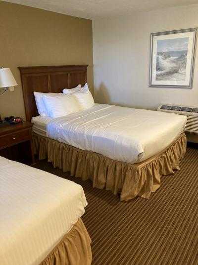 バスがタブ付きなのは嬉しい。ベッドは十分すぎるくらい広い。