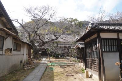 静観寺