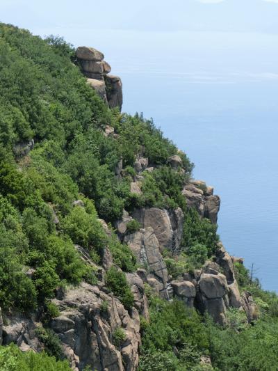 花崗岩の巨岩に刻まれたゴリラの笑顔