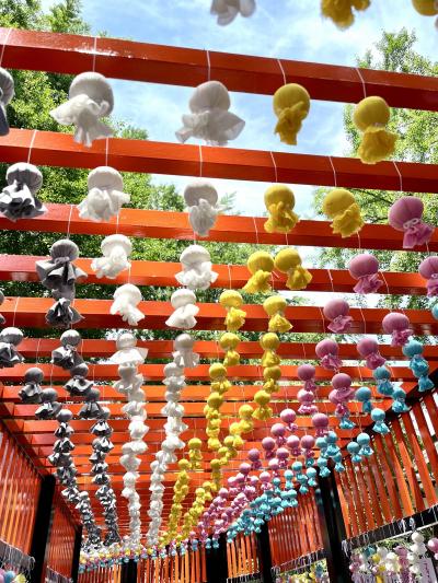 七夕てるてるトンネル By Katsumi1956 田無神社のクチコミ フォートラベル