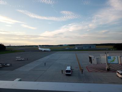 滑走路は見えません。