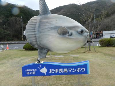 大きなマンボウが出迎えてくれます