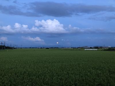 海水浴の後、お風呂でのんびり