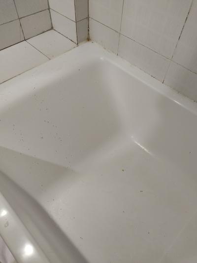 風呂場が汚くカビ臭い　防音なし