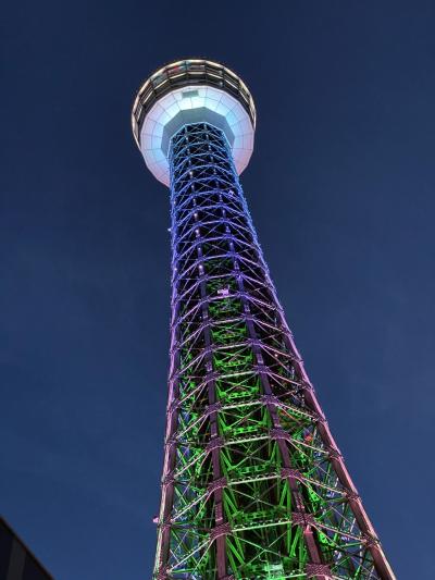 キラキラしてます