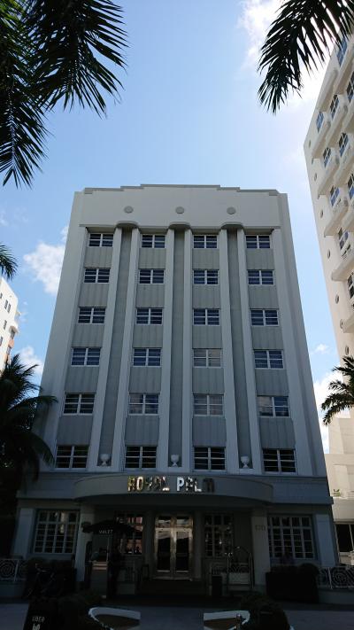 正面からはこんな感じです。