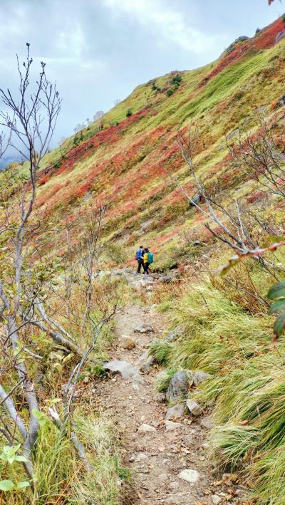 焼岳は紅葉時期限定で登りたい