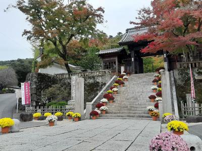 修善寺温泉の修禅寺山門の紅葉