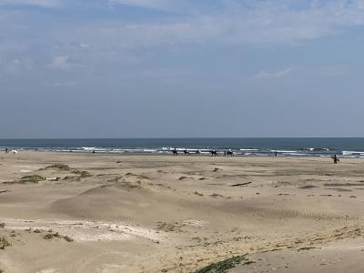 馬に乗って海岸を歩いたり走ったり出来る。