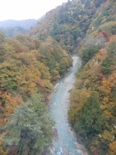 夢のような空中散歩　上空から見る紅葉