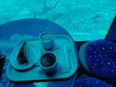 美ら海水族館のカフェは、指定席、自由席制になっていました！