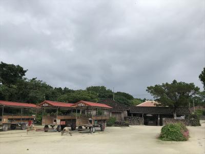 竹富島水牛車観光（新田観光）／沖縄県竹富島