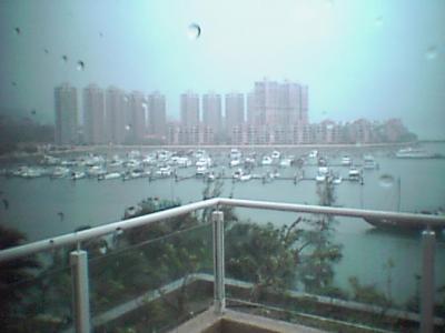 部屋からの眺め