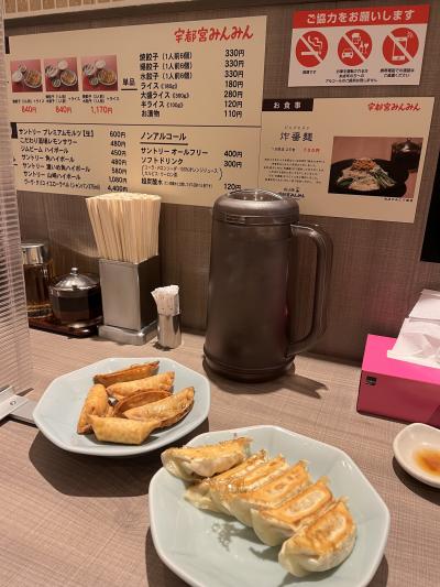 宇都宮みんみん ホテルメッツ店