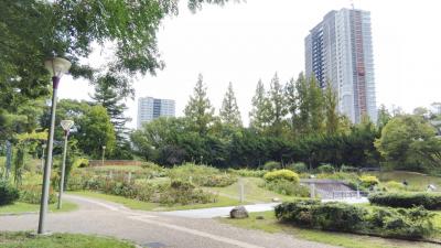 9月末に行きましたのでバラは少し早かった