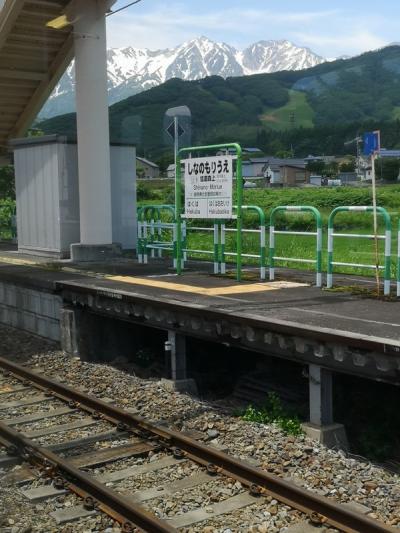 色彩豊かな車窓が楽しめます。