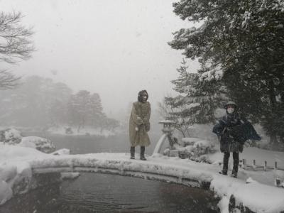 絶景ポイントはここ！じゃなくて、いつ！