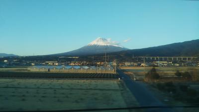 きれいな富士山を眺めることができました