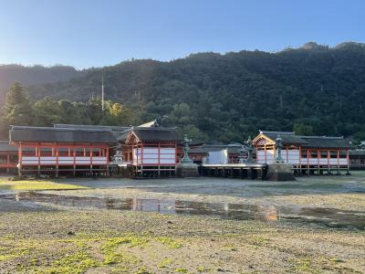 朝の宮島が素晴らしいんです