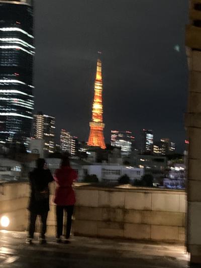 東京タワーに手が届く
