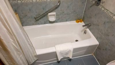 アヒルがいます