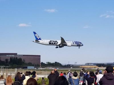 飛行機ビューイングの定番！